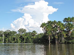 Landschaft, Tambopata, Lago Sandoval, Peru 