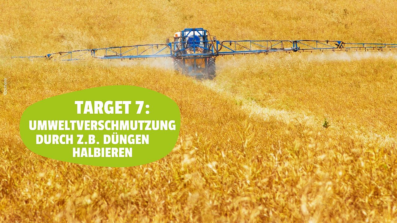 Ein gelbes Feld wird gedüngt. ©Pxhere