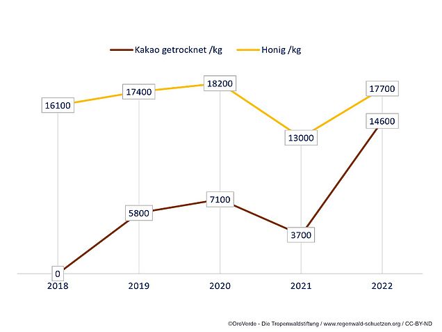 Entwicklung der Kakao und Honigernten im Projekt WaldGewinn ©OroVerde