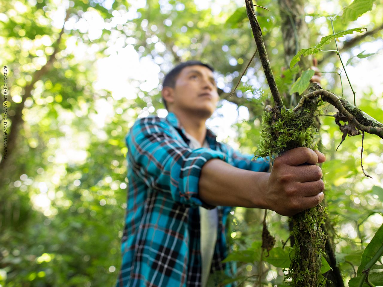 Ein Mann greift einen Baumstamm im Wald