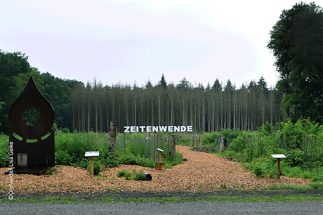 Das Gelände der Ausstellung befindet sich mitten im Wald. Nur zu Fuß ist das Gelände erreichbar. © OroVerde/ Lisa Geike