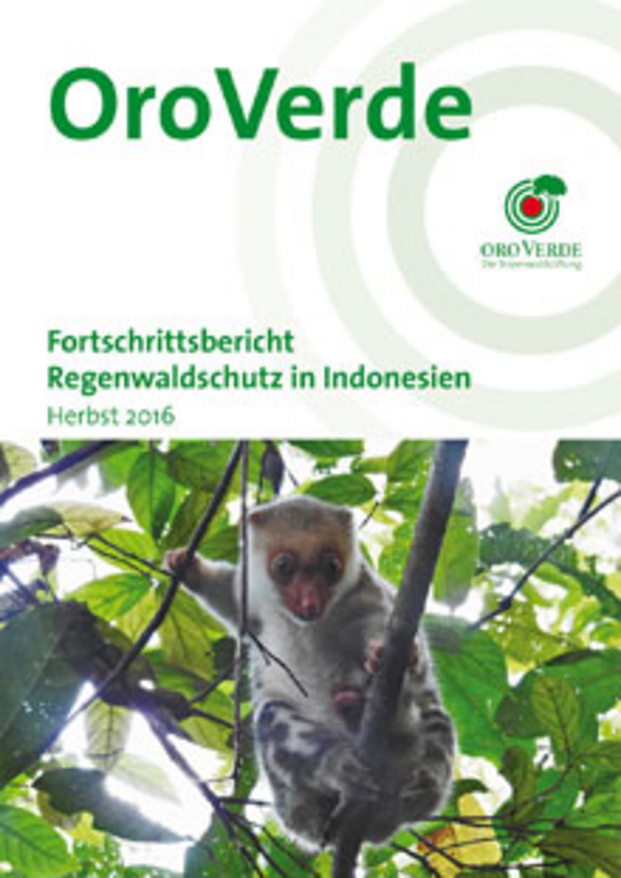 Regenwaldschutz mit OroVerde: Projektbericht Indonesien 2016