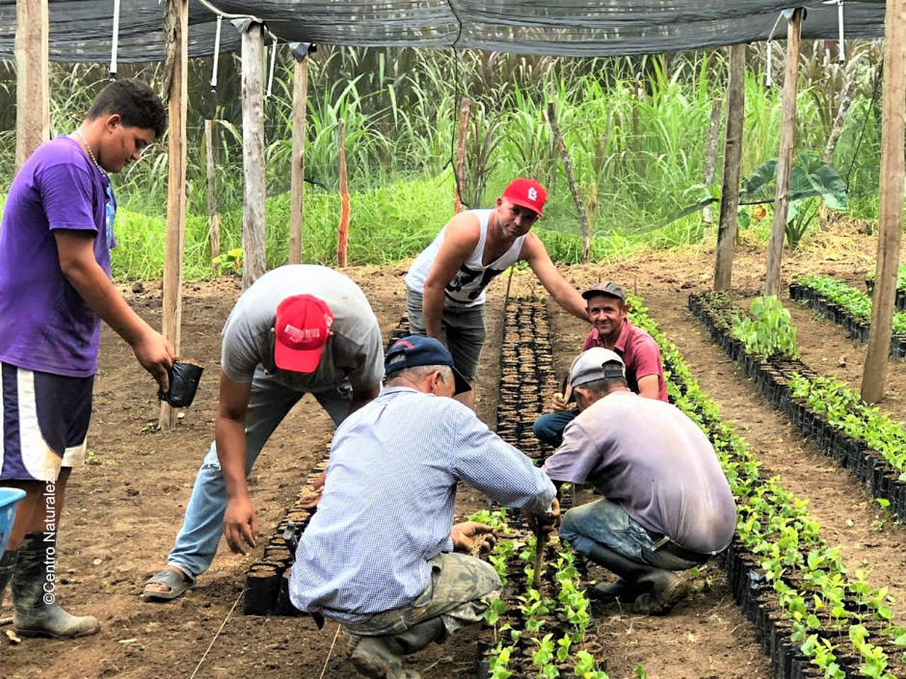 Projektbeteiligte in einer Baumschule in der Gemeinde „Los Ramones San José de las Matas“.  ©Centro Naturaleza