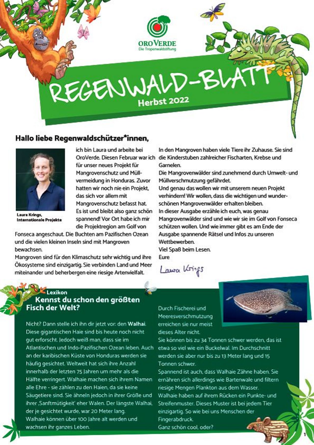 Regenwaldblatt Herbst 2022