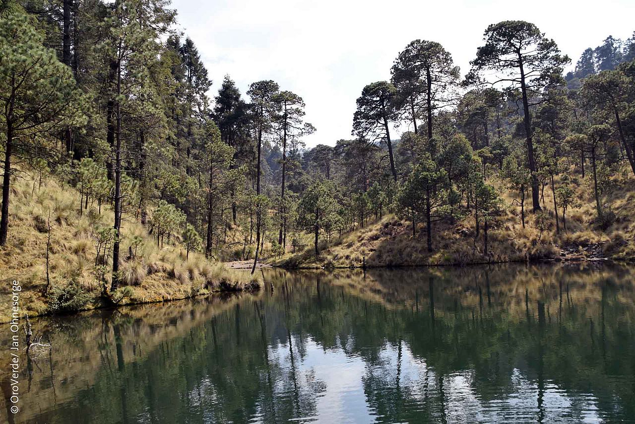 Impression Nationalpark Desierto de los Leones ©OroVerde