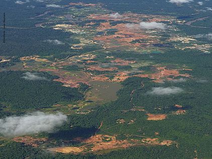 Großflächige Zerstörung in manchen Gebieten ©OroVerde - J. Baumnn