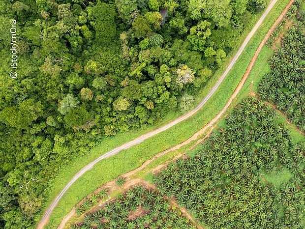 Mittagspause mit ELAN