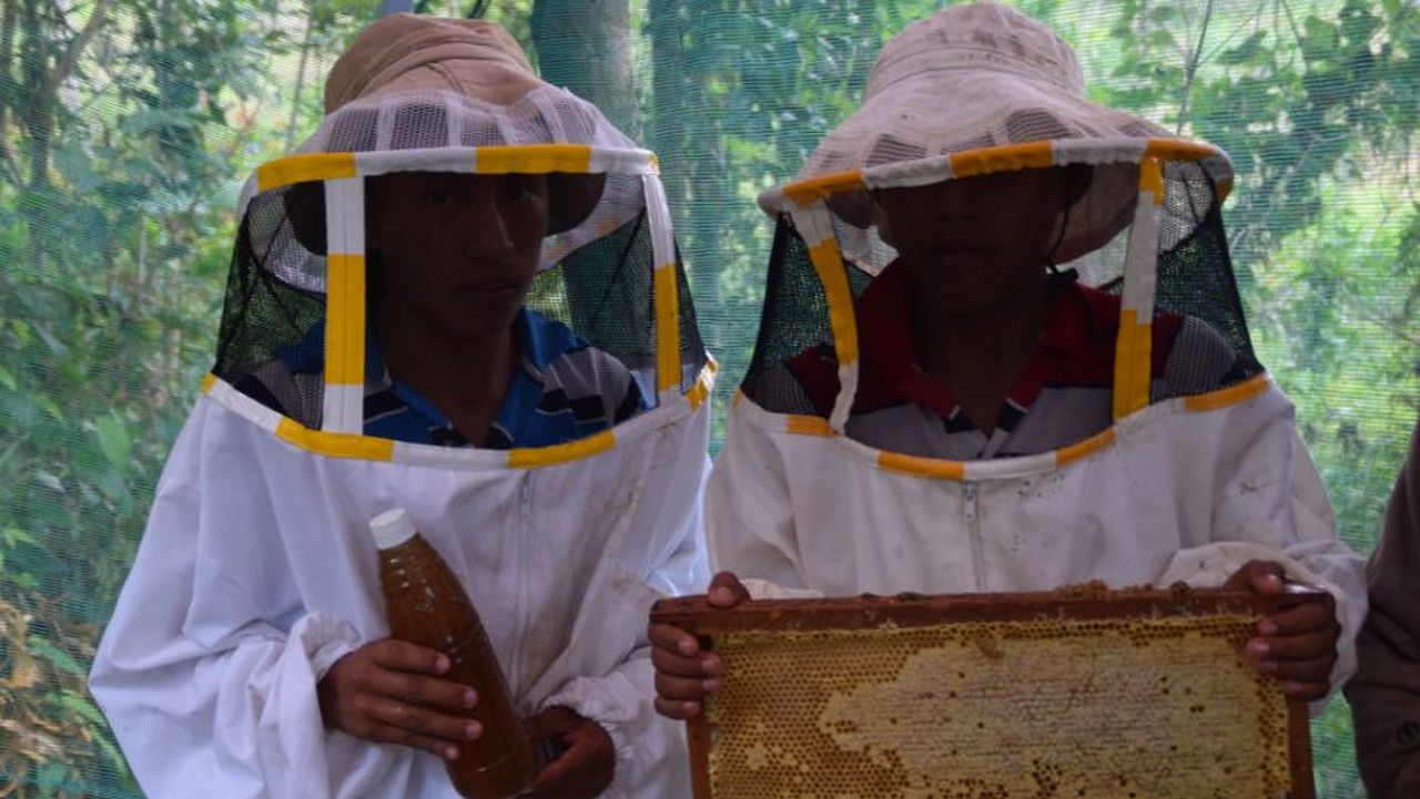 Zwei Imker präsentieren ihren Honig ©OroVerde