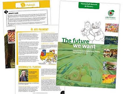 Unterrichtsmaterial "The future we want"