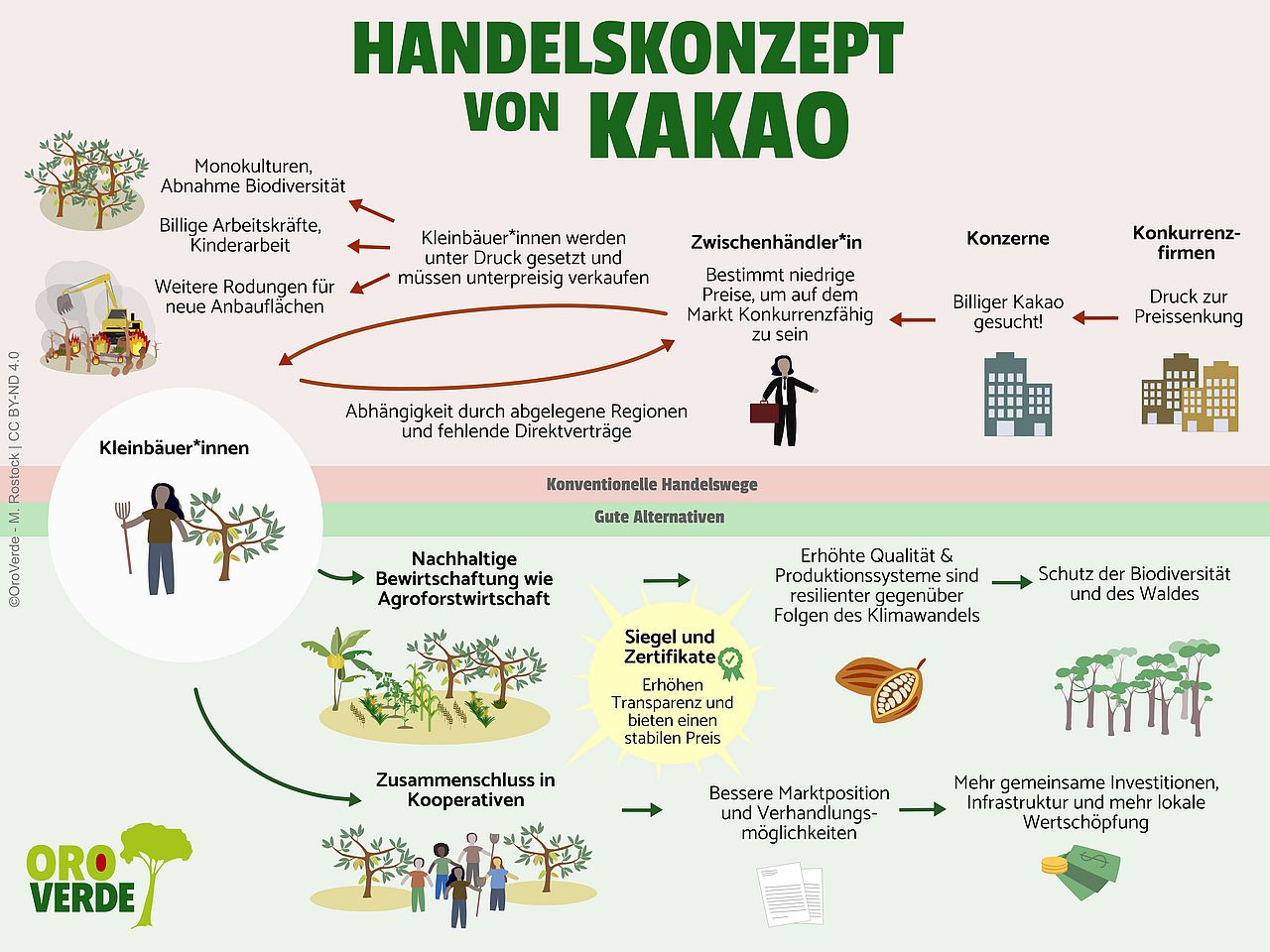 Schaubild zum Thema Kakaohandel - Konventionelle Handelswege vs. gute Alternativen.