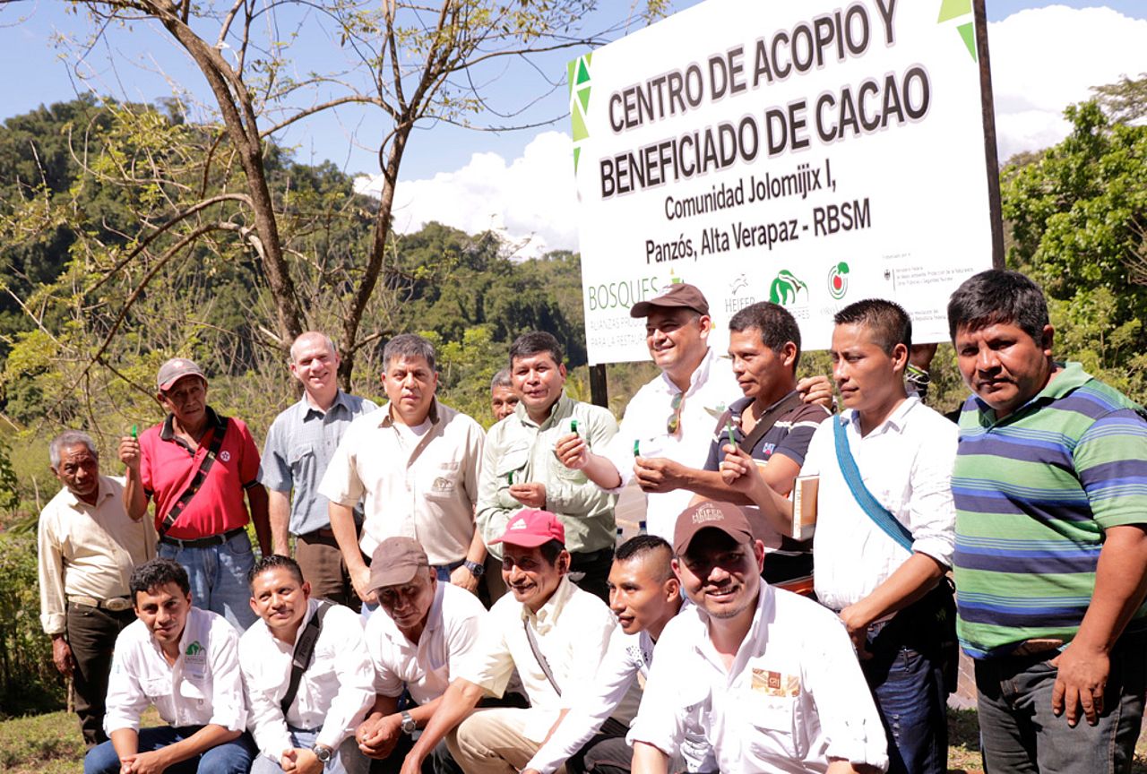 Kakao-Verarbeitung in Guatemala auf dem neuesten Stand. Kakao-Anbau und Weiterverarbeitung in Guatemala