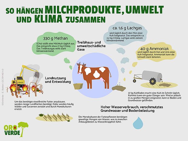 Die Folgen der Milchwirtschaft für Umwelt und Klima. 