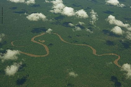 Intakter Regenwald Suriname ©OroVerde - J. Baumann