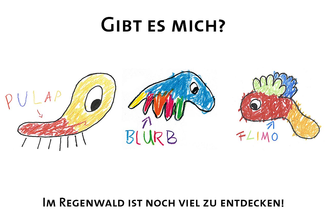 Gewinner Plakatwettbewerb 2018 Gewinner Plakatwettbewerb 2018 ©OroVerde