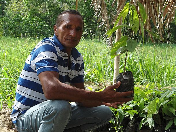 Baumsetzling in einer Baumschule in Venezuela © Sabine Merle