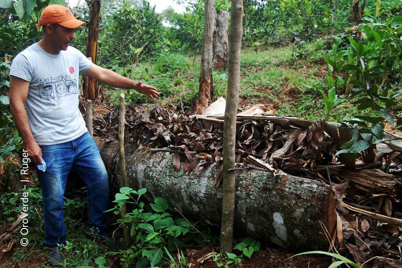 Mit Totholzbarrieren reguliert Rafael den Wasserhaushalt und beugt Erosion vor.