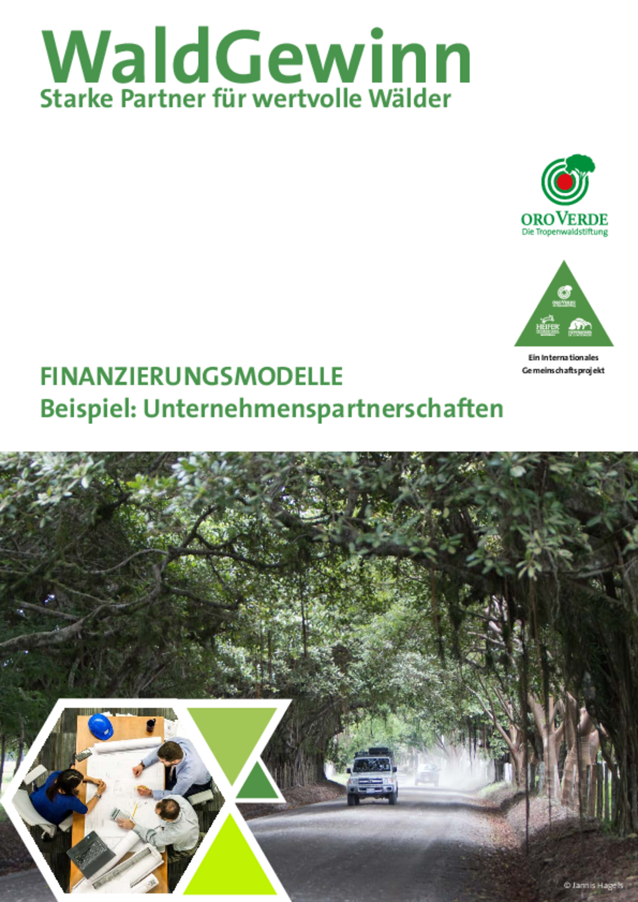 Finanzierung von Wald-Wiederaufbau durch Unternehmenspartnerschaften