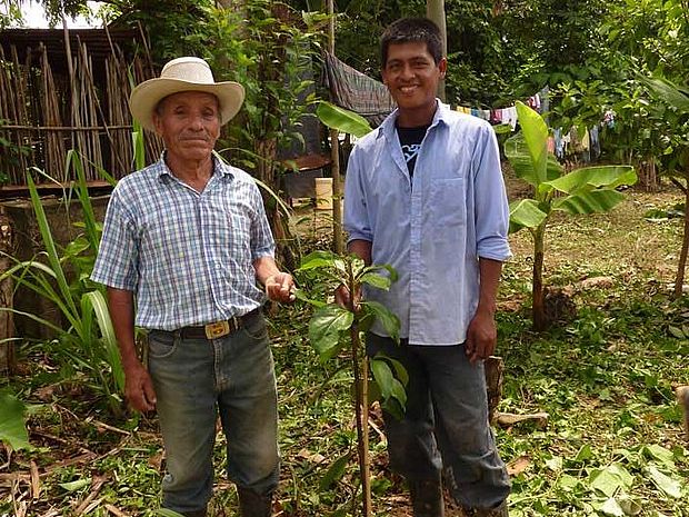 OroVerde unterstützt lokale Bevölkerung, die wegen der Palmölplantagen in die Berge ausweichen musste. ©OroVerde