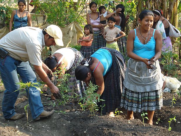 Die ganze Gemeinschaft packt mit an und pflanzen Bäume für das Projekt "Waldgewinn".