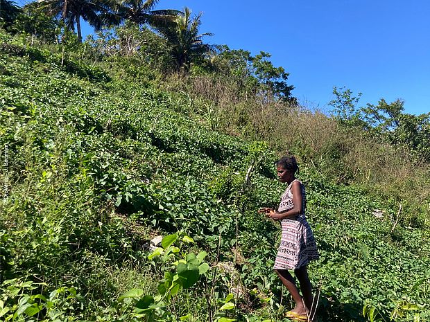 Frau auf Agroforstfläche im KlimaWald-Projekt in Haiti, nachhaltige Landwirtschaft und Bodenschutz © OroVerde | J. Baumann