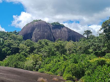 Berg in Suriname 