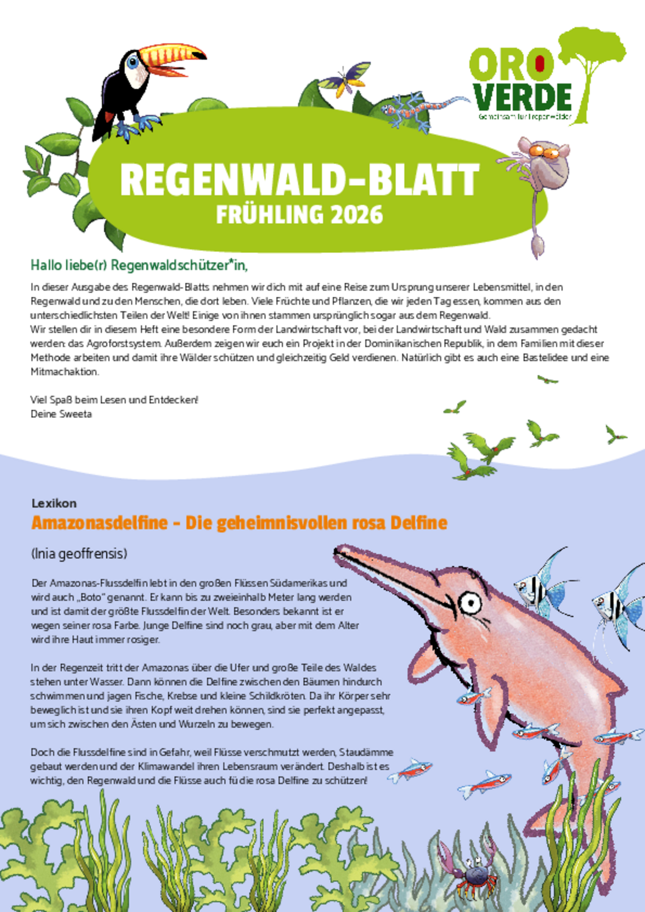 Das Regenwaldblatt  Ausgabe 1/ 2026 befasst sich mit Flussdelfinen Südamerikas.