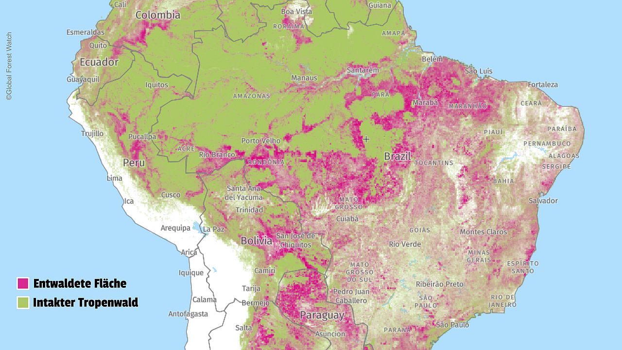 Stand der Amazonas-Entwaldung im Jahr 2017. 