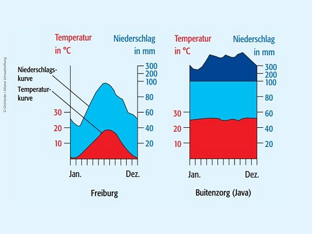 Klimadiagramm von Freiburg und Java zum Vergleich ©OroVerde/Allianz Umweltstiftung