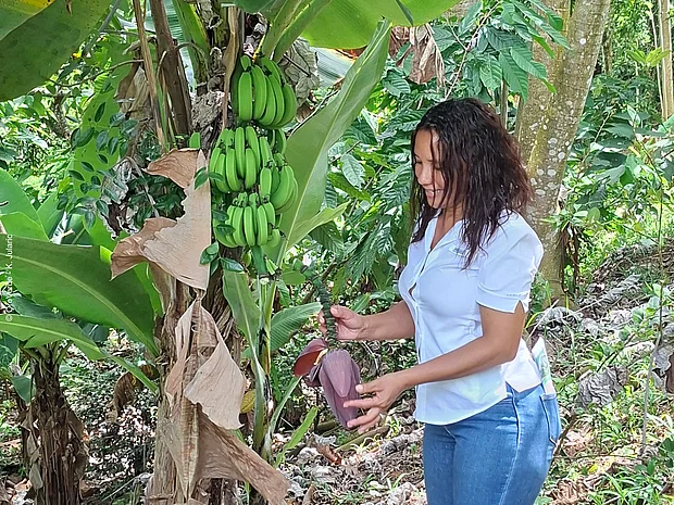 Wendy Jáquez steht auf ihrer Finca „Piso Verde“ in der Dominikanischen Republik zwischen Bananenstauden und weiteren Nutzpflanzen und zeigt eine Bananenblüte.© OroVerde - K. Jularic