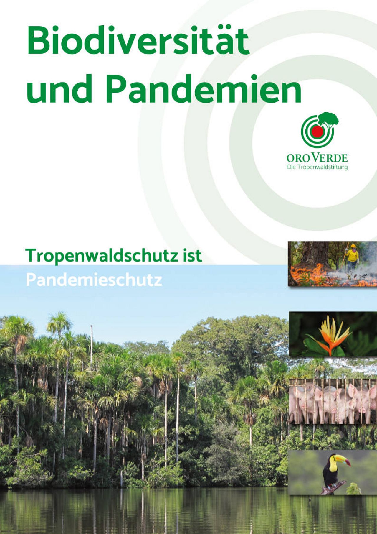 Positionspapier Biodiversität und Pandemien