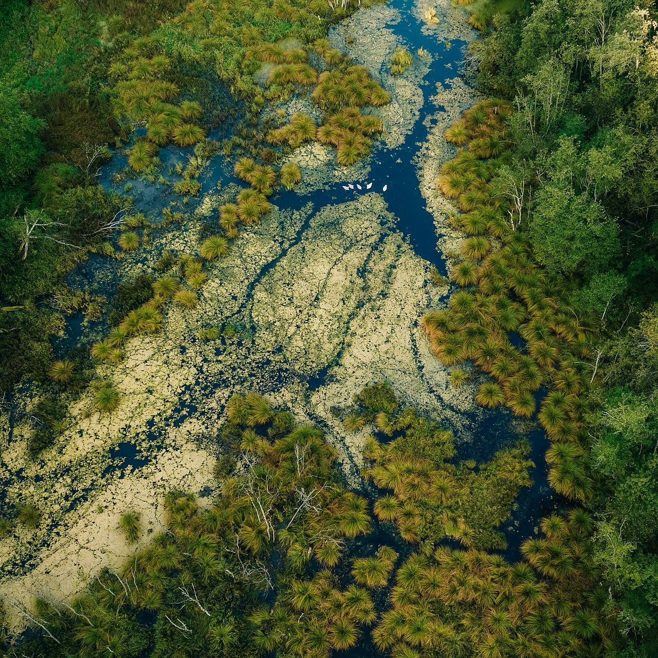 Ein Flussdelta von oben ©Unsplash Plus