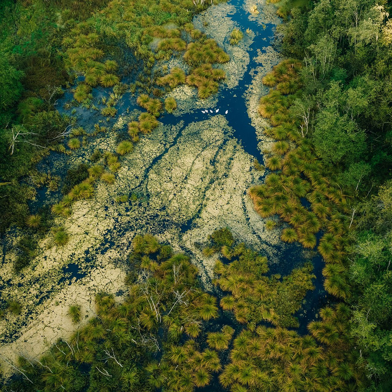 Ein Flussdelta aus der Vogelperspektive