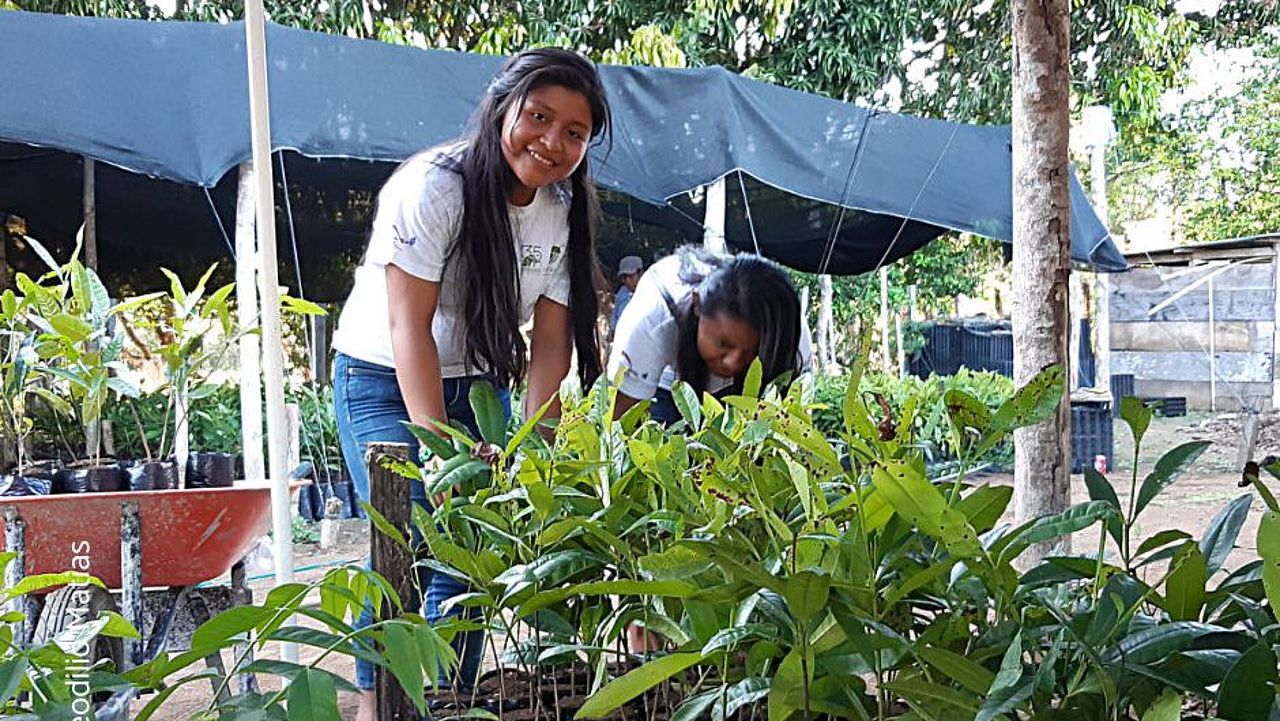 Mädchen kümmern sich um Baumsetzlinge in derBaumschule
