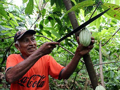 Regenwald helfen: Nachhaltiger Kakaoanbau © OroVerde-Anna Hömberg