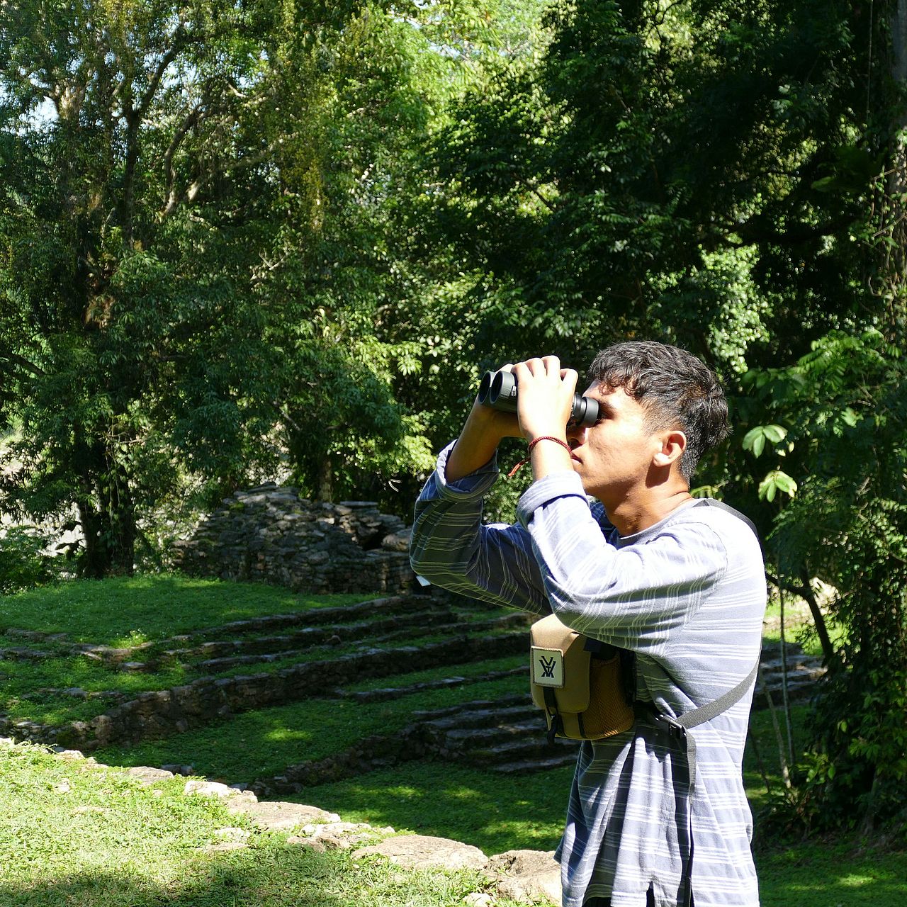 Lernen Sie einige der mutigen Menschen kennen, die unerschrocken für den Waldschutz kämpfen und dabei manchmal sogar ihr Leben riskieren.