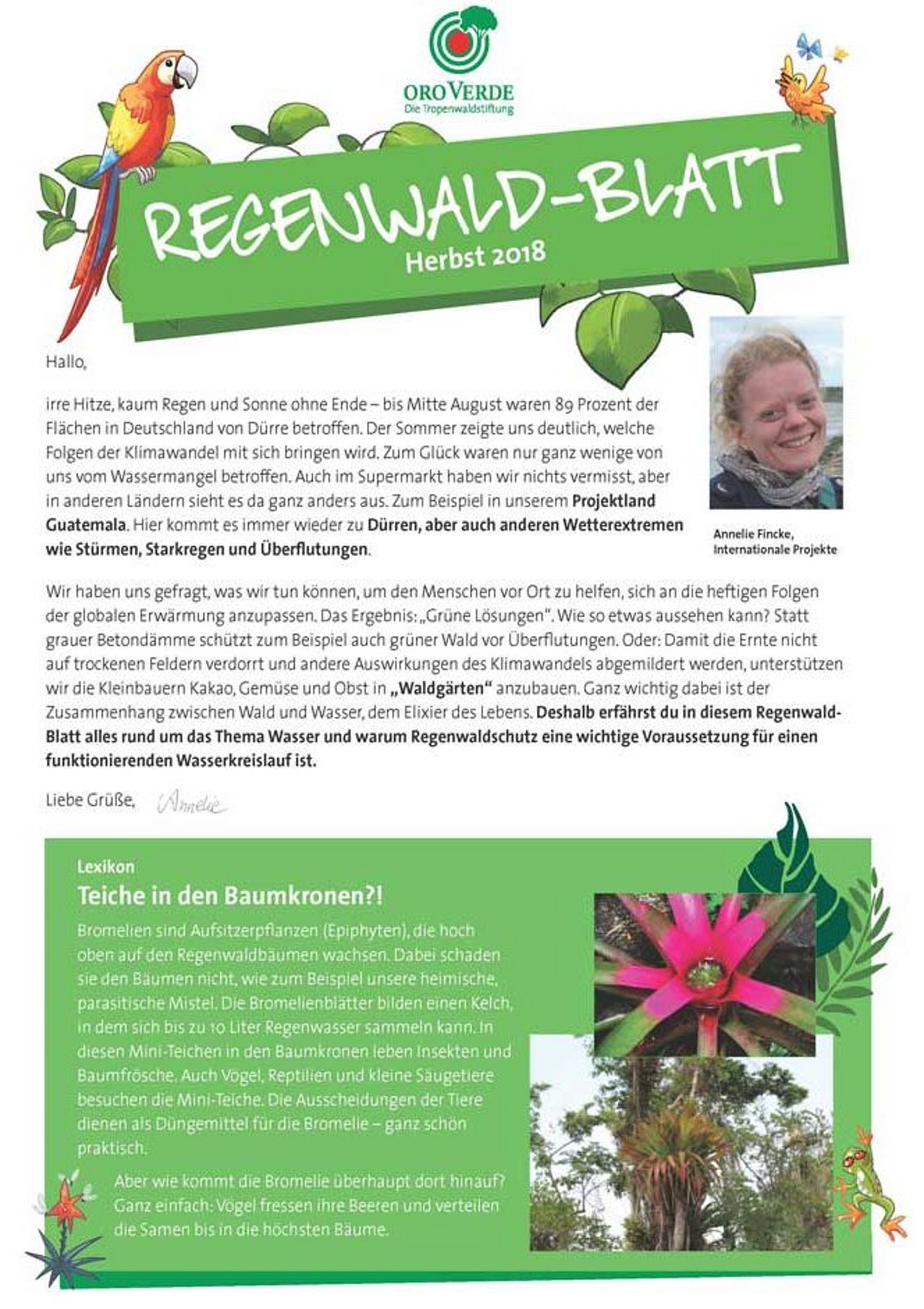 Regenwaldblatt Herbst 2018 von OroVerde zum Thema Klimawandel.