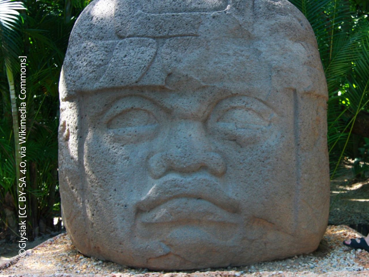 Kolossaler Steinkopf der Olmeken. Er stellt wahrscheinlich einen Herrscher dar. © Glysiak, CC BY-SA 4.0, via Wikimedia Commos