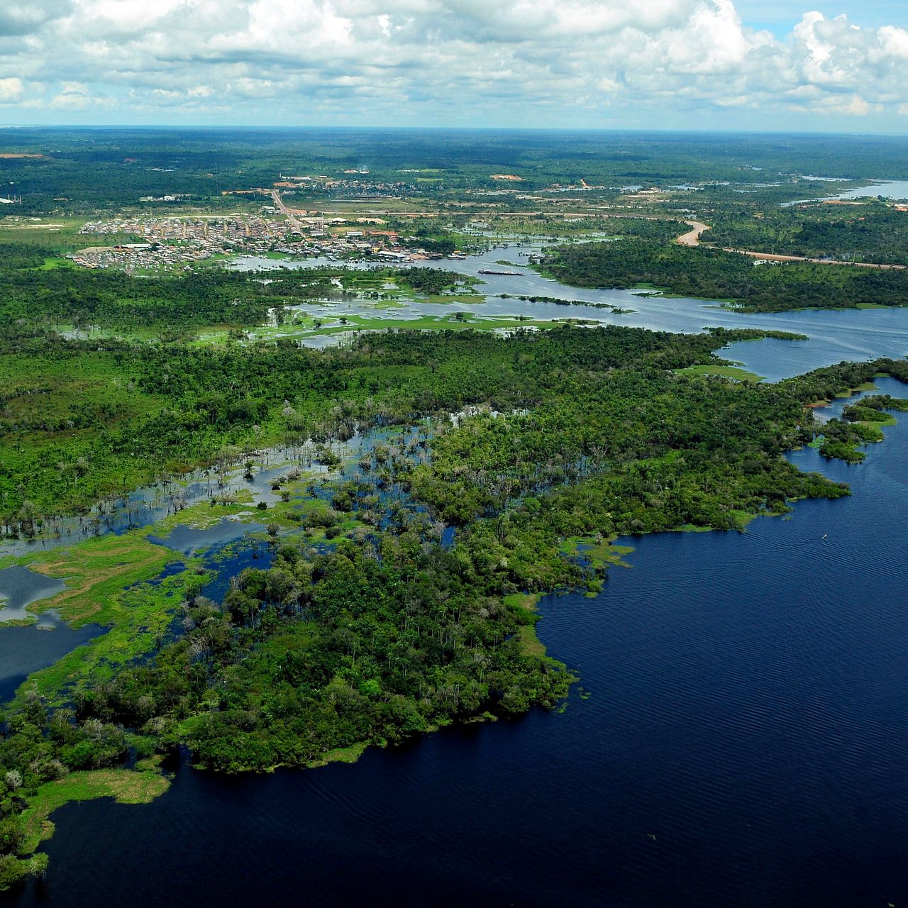 Luftbild des Amazonas-Regenwalds mit Flüssen, überfluteten Waldflächen und einer Siedlung am Ufer.
