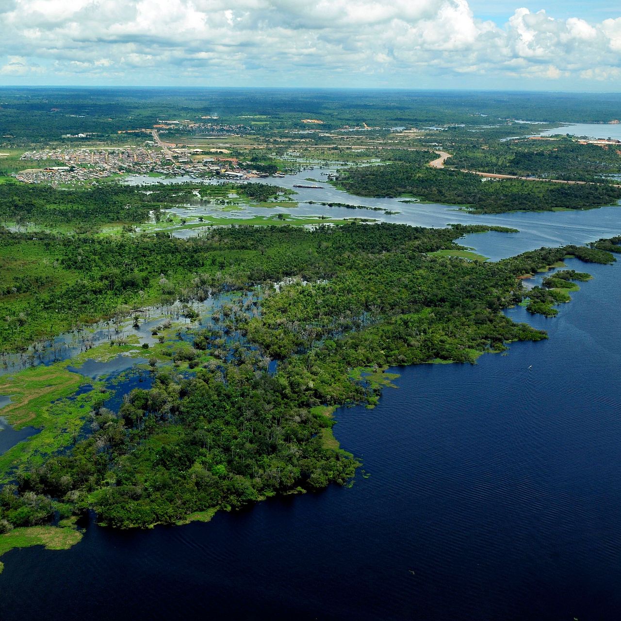 Amazonas-Regenwald ©Wildscreen Exchange Amazonas-Regenwald