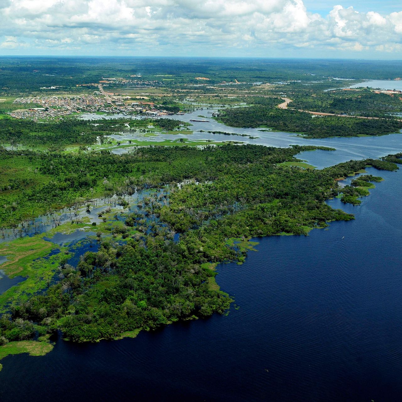 Amazonas-Regenwald