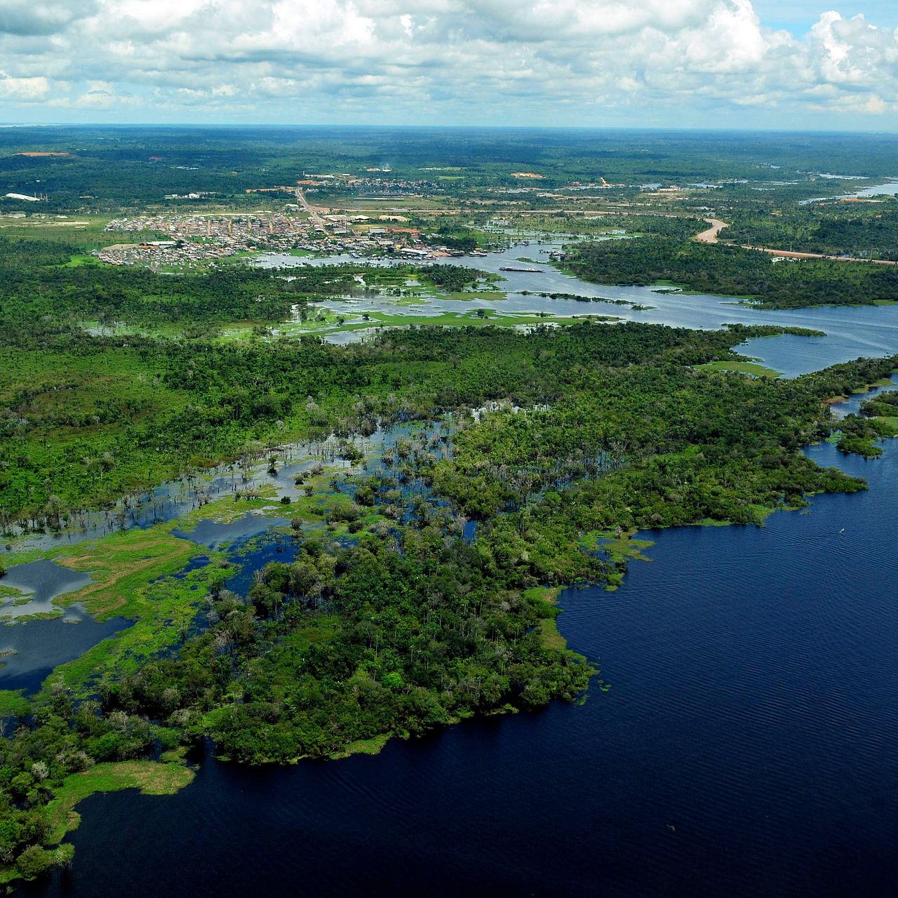 Der Amazonas von oben