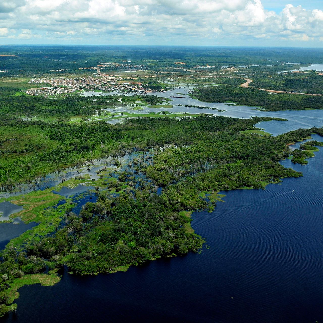 Luftbild des Amazonas-Regenwalds mit Flüssen, überfluteten Waldflächen und einer Siedlung am Ufer.