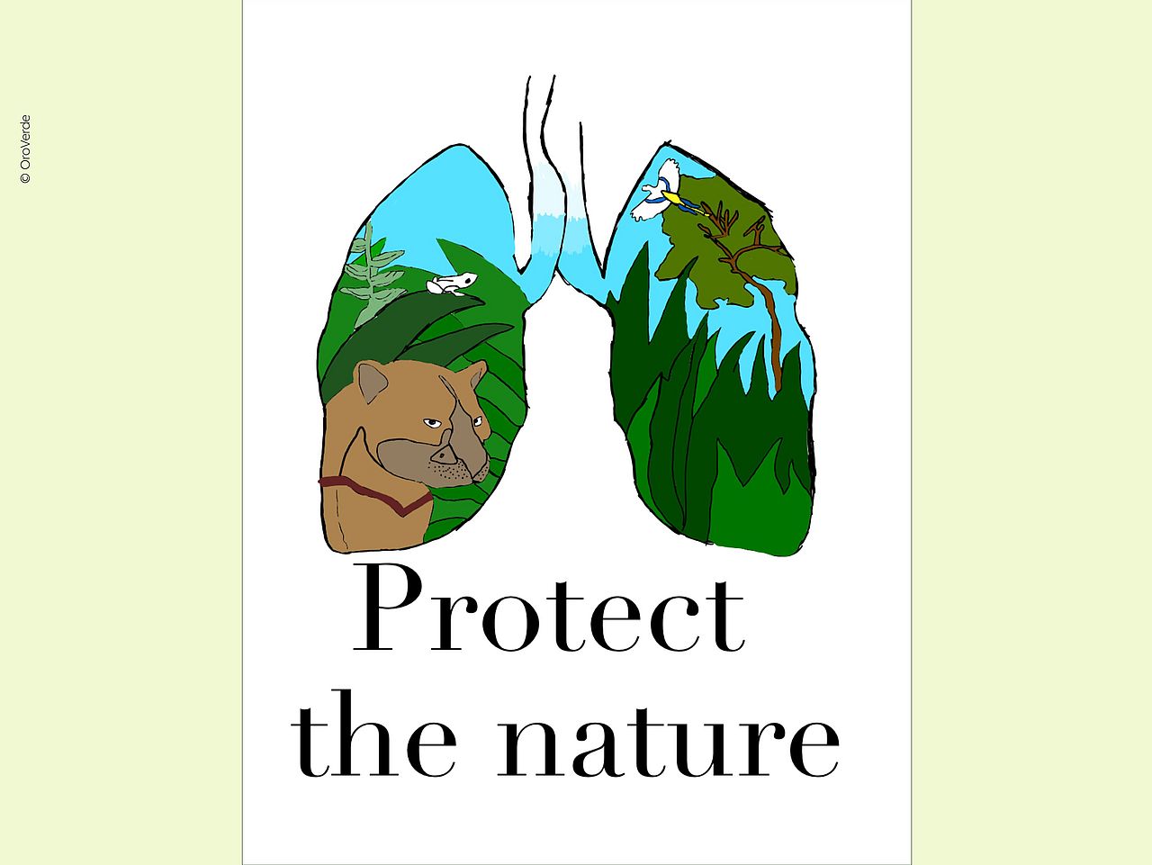 Der Regenwald ist die "Lunge der Welt" und muss geschützt werden 