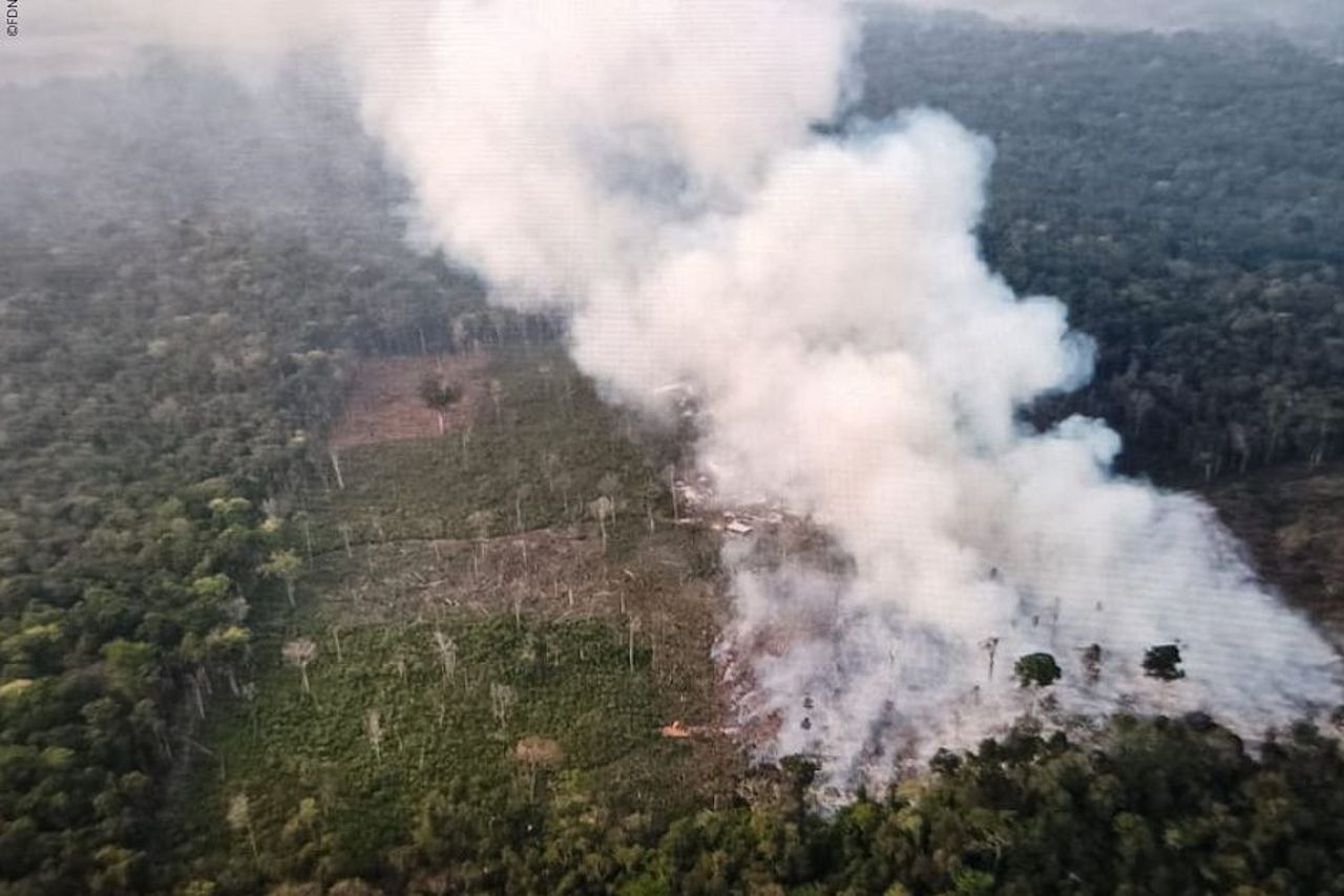 Der Regenwald in unserem Regenwaldschutzgebiet in Guatemala brennt ©FDN