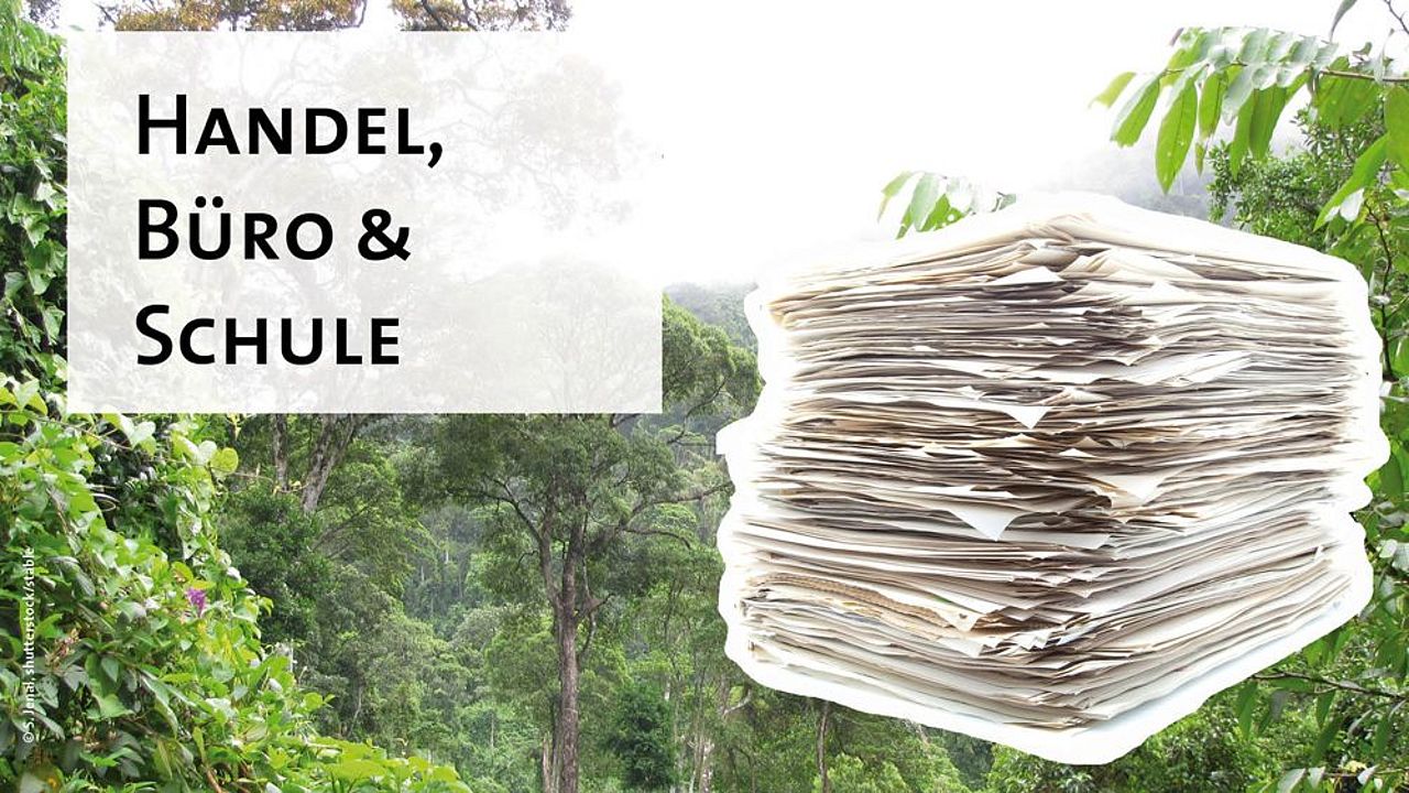 Handel, Büro und Schule: Papier sparen und Recyclingpapier kaufen ©shutterstock/stable