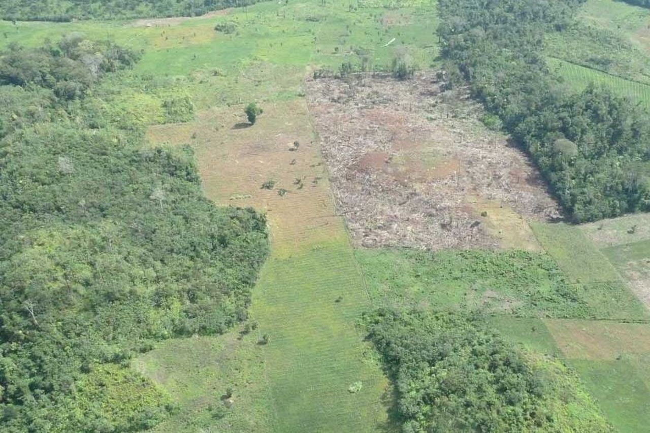 Holzgewinnung in Guatemala: Kahlschlagflächen