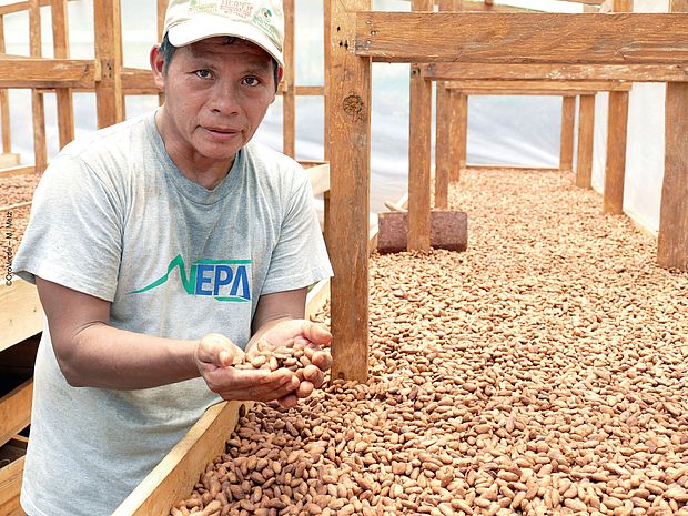 Kakao selbst fermentieren und trocknen ©OroVerde – M. Metz