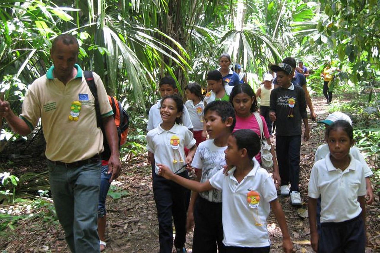 Umweltbildung im Regenwald