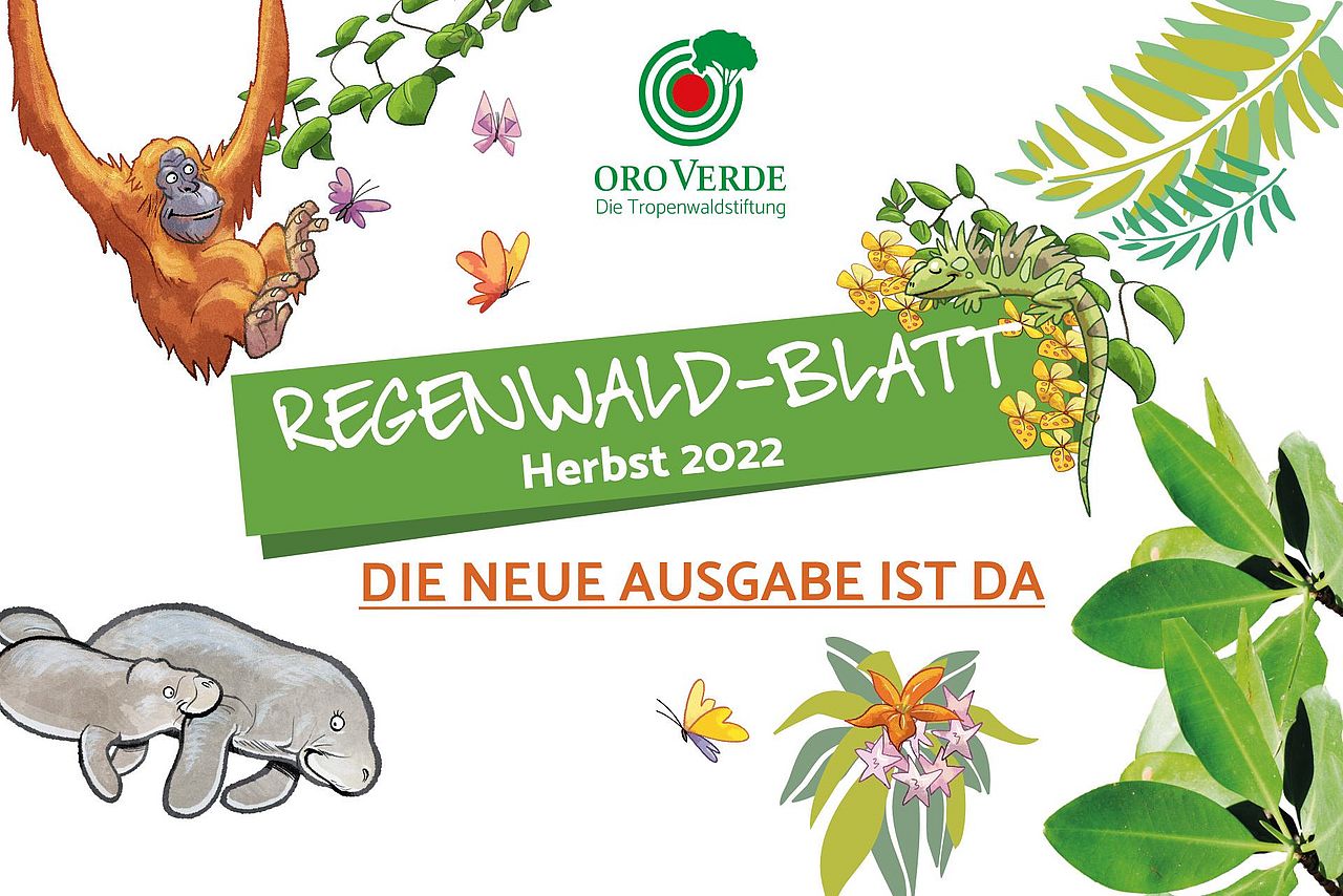 Die Herbst-Ausgabe für junge Regenwaldforscher ist da ©OroVerde Die neue Regenwald-Blatt Ausgabe ist da! ©OroVerde