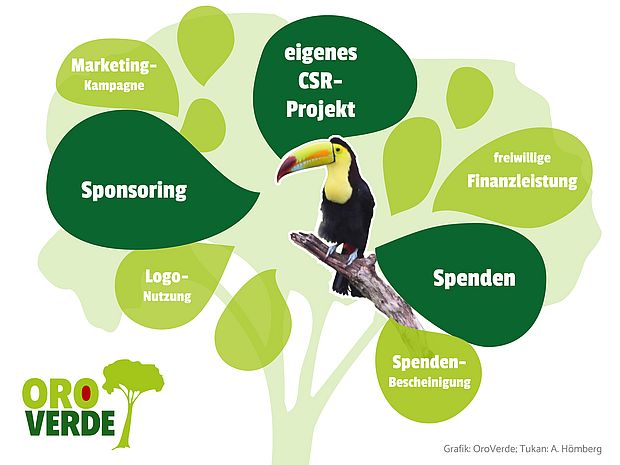 Spenden vs. Sponsoring ©OroVerde – A. Hömberg